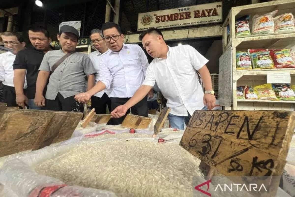 Update harga pangan: Beras premium naik, medium dan cabai turun