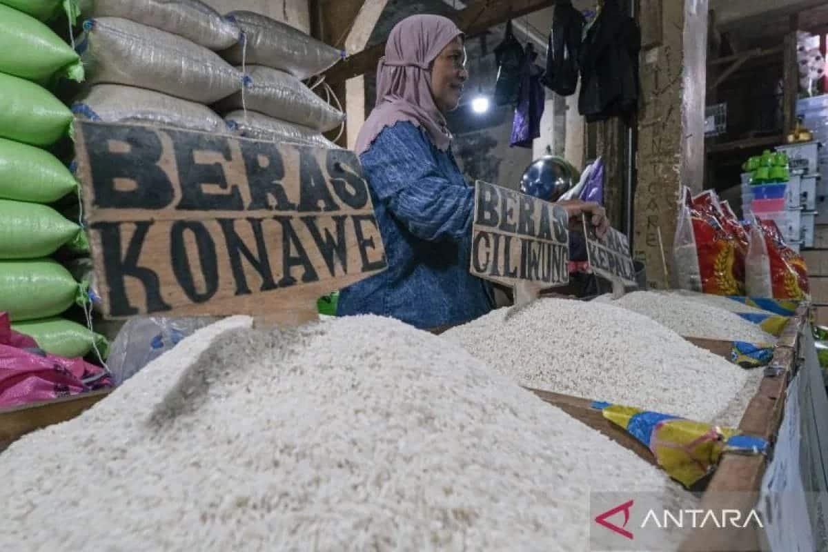 Harga pangan nasional turun: beras, cabai, hingga minyak goreng alami penurunan