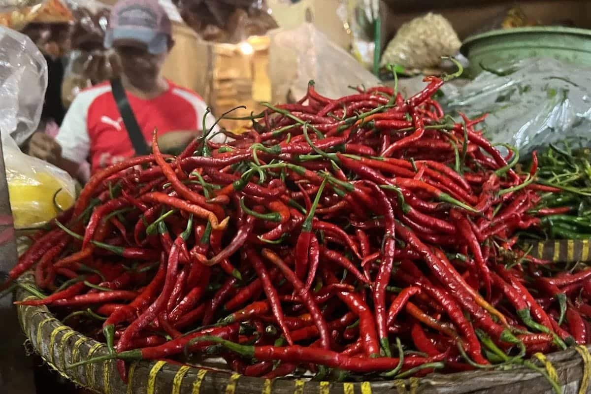Update harga Pangan: Cabai rawit turun, beras premium tembus Rp16 ribu/kg