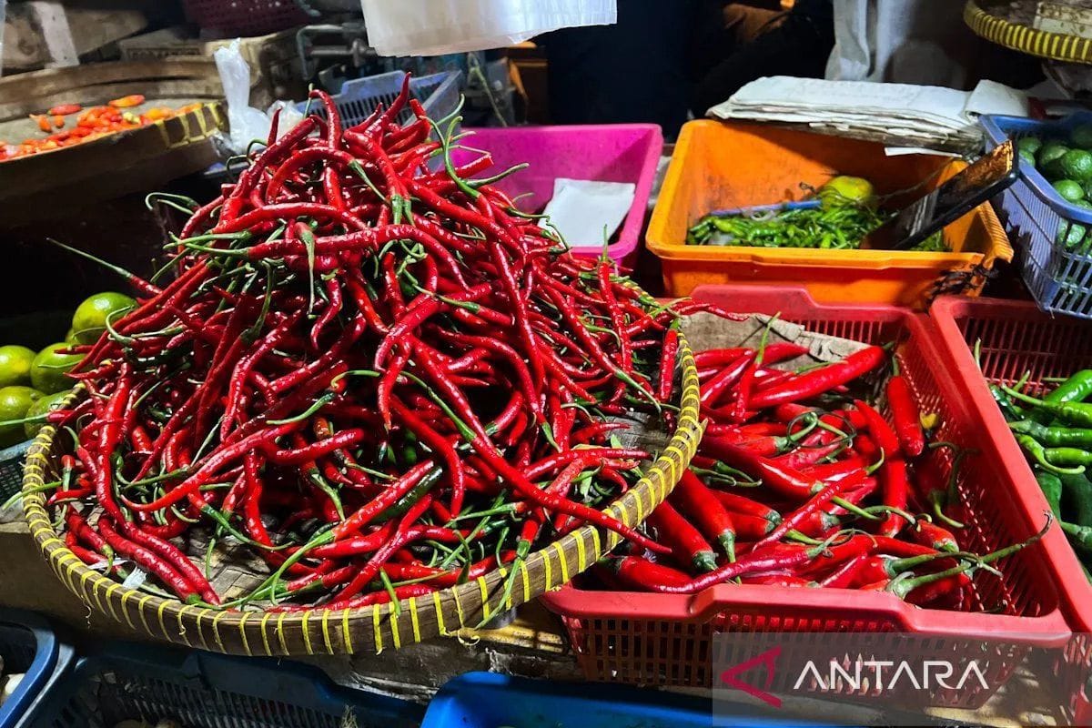 Bapanas catat penurunan harga pangan, termasuk beras dan cabai
