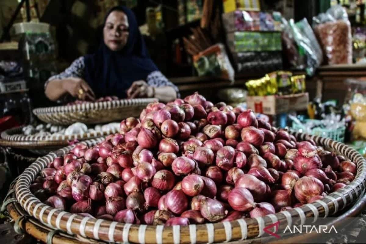 Harga cabai, beras, dan minyak goreng turun, ini daftar lengkapnya