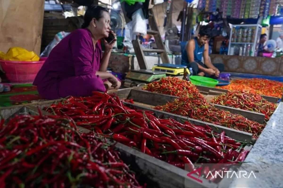 Harga pangan terkini: Cabai, telur, dan beras alami kenaikan di Pasaran