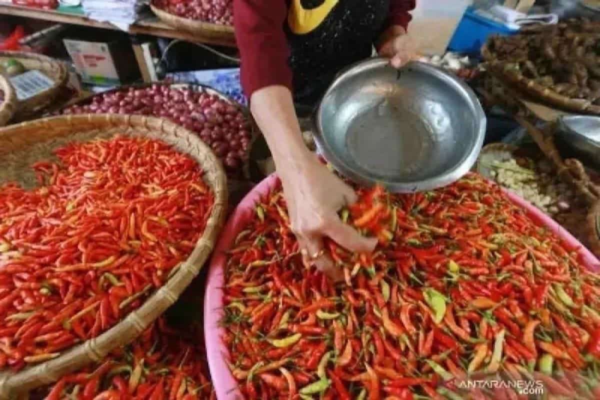 PIHPS: Harga pangan strategis bergerak, cabai rawit dan telur ayam naik