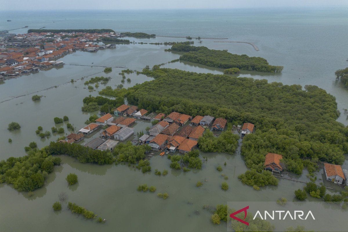Waspada cuaca panas, hujan petir, hingga banjir rob hari ini