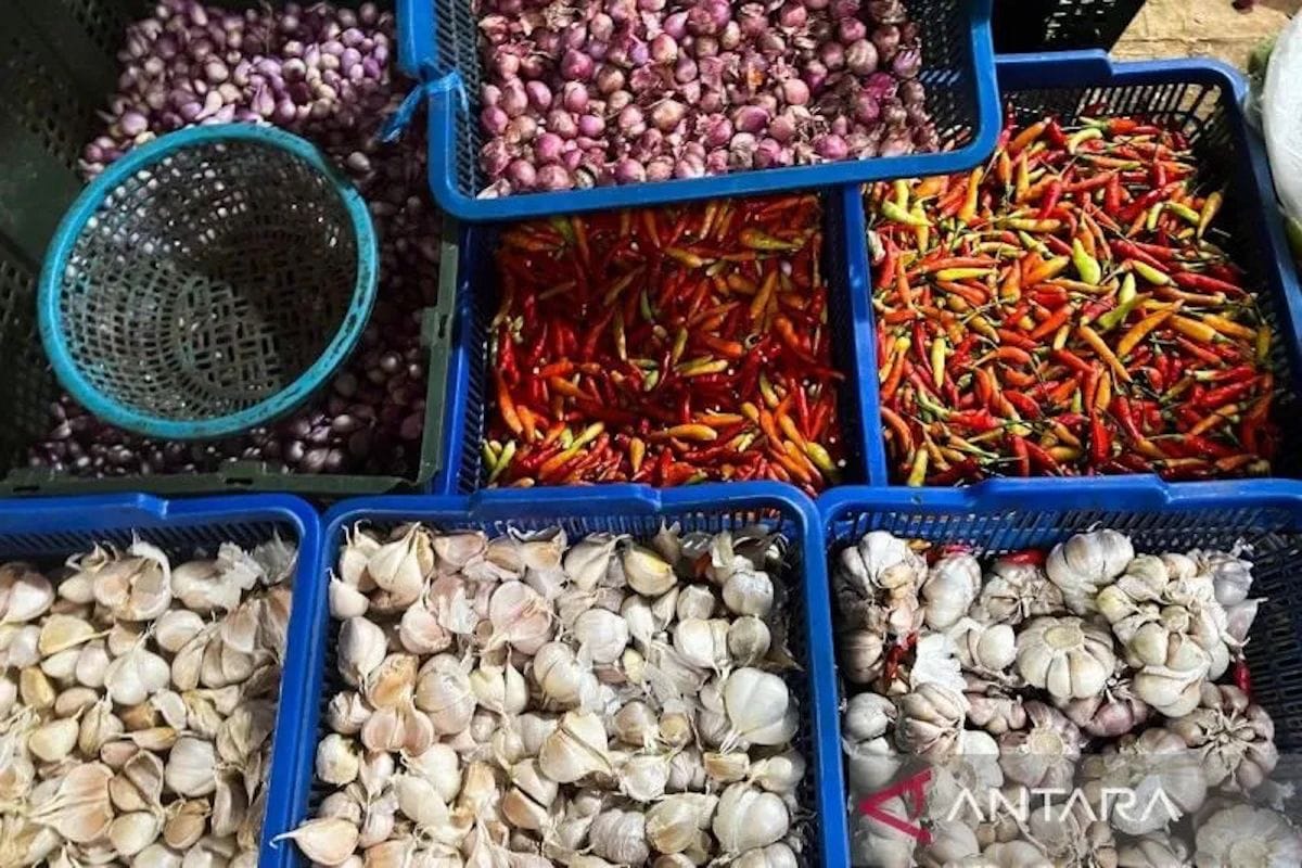Update PIHPS: Harga cabai dan bawang melonjak di pasar nasional