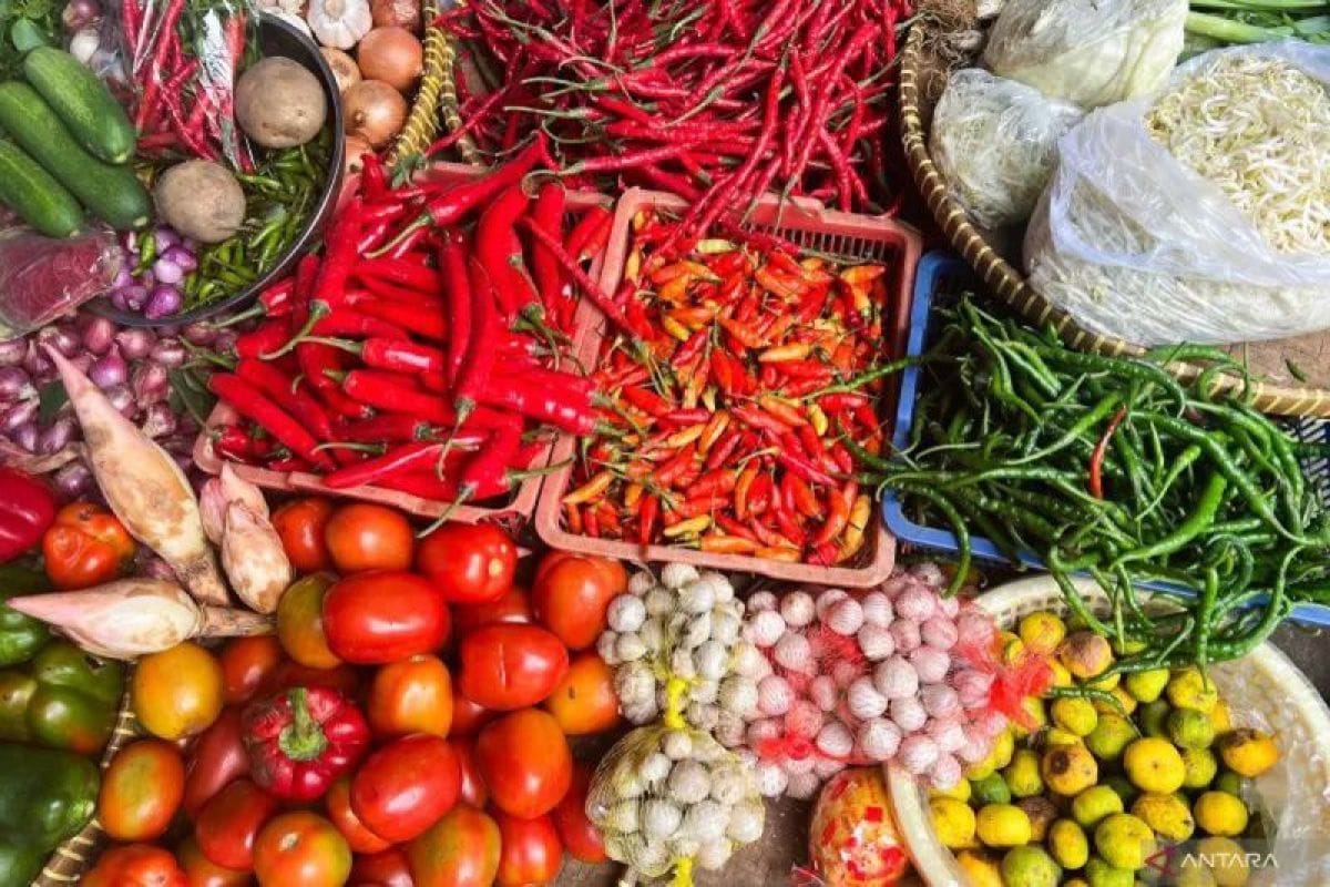Update PIHPS: Harga cabai dan bawang menguat di pasaran nasional
